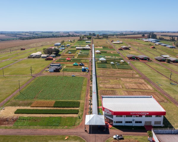 COOPAVEL: Show Rural de Inverno mostra trigo com produtividade de 6 mil quilos/ha