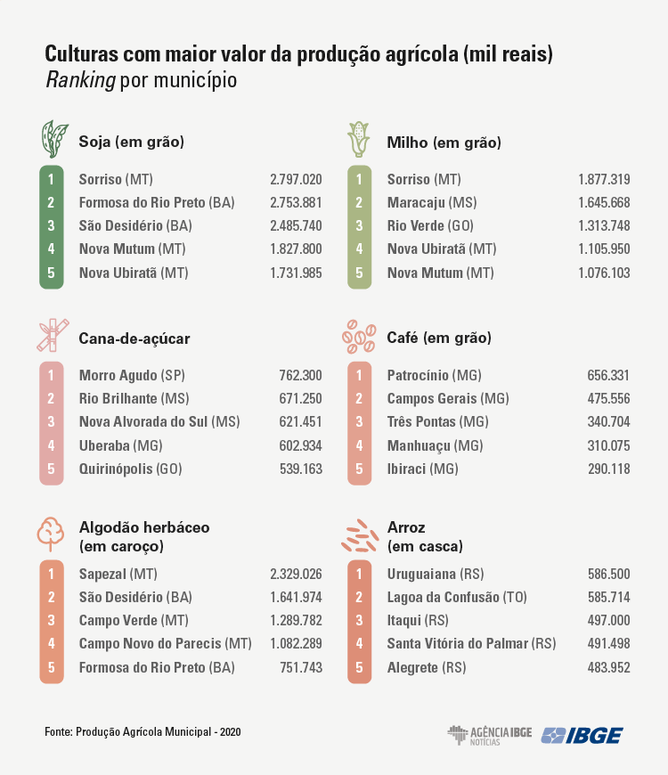 graficos-pam ranking
