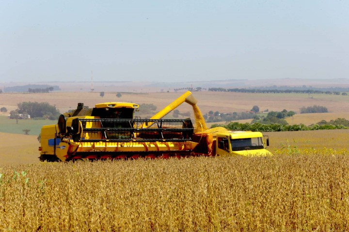 GRÃOS: Paraná deve produzir 25,5 milhões de toneladas na safra de verão