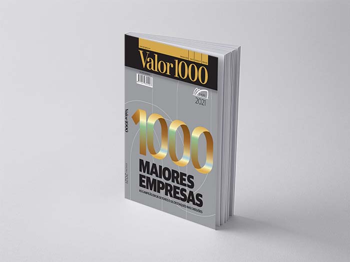C.VALE: 2ª maior empresa do Brasil