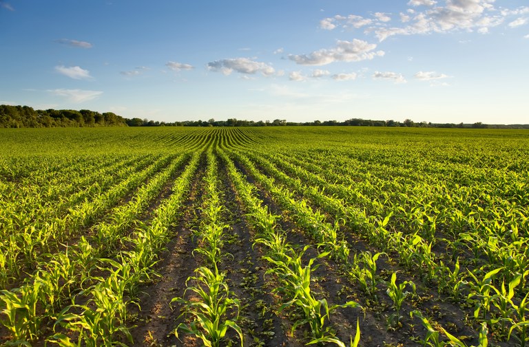 ATUALIZAÇÃO: Decreto estabelece novas regras para o registro e pesquisa de agrotóxicos