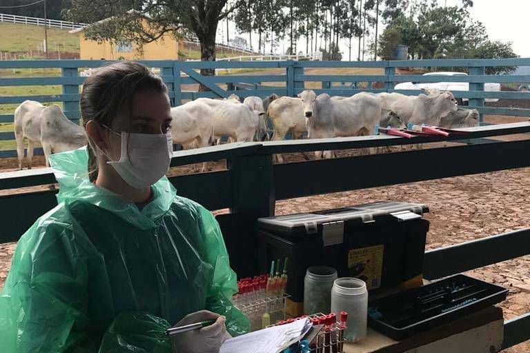 ADAPAR: Veterinários do setor privado devem se recadastrar na Agência em novembro