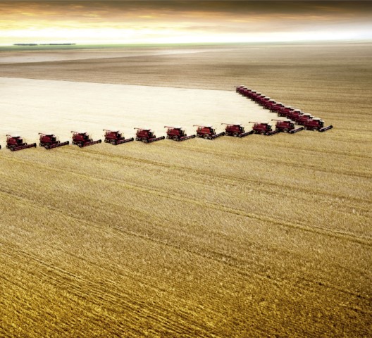 VBP: Valor Bruto da Produção Agropecuária de 2021 é estimado em R$ 1,119 trilhão