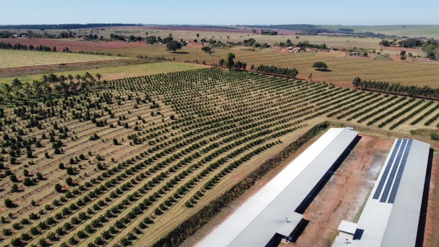 SICREDI: Crescimento de mais de 110% no financiamento para instalação de painéis de energia solar 