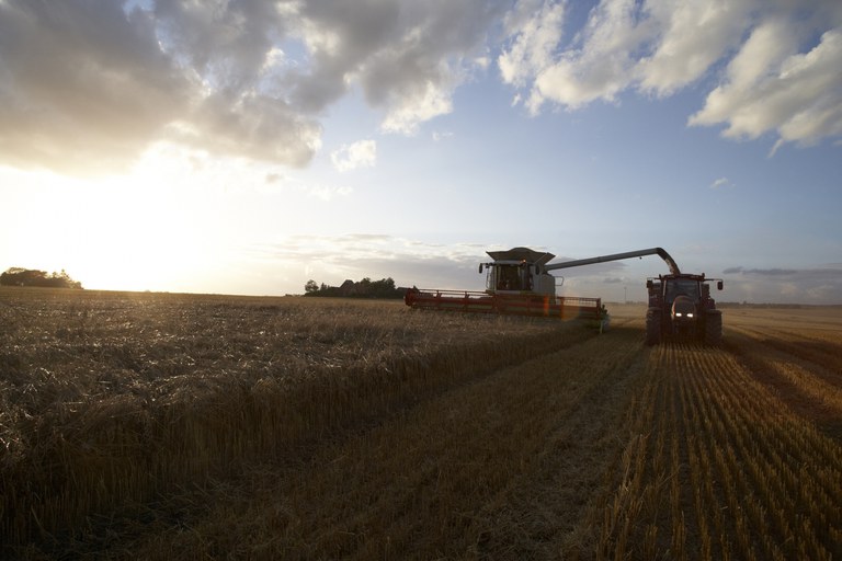 VBP: Valor da produção agropecuária de 2021 está estimado em R$ 1,113 trilhão