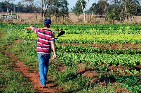 LEGISLATIVO: Congresso derruba vetos a socorro para agricultores familiares e a reajuste de agentes de saúde