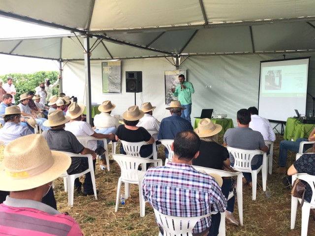 CAPAL: Realizado o primeiro Dia de Campo para cafeicultores
