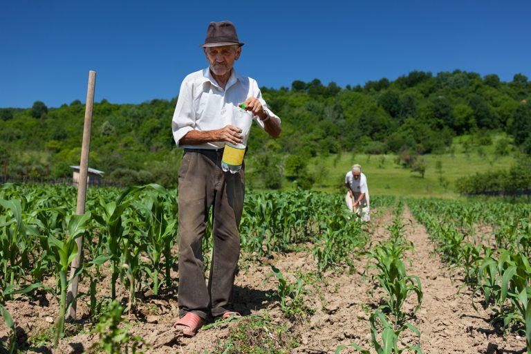 LEGISLATIVO II: Projeto isenta trabalhador rural de multa para aderir ao Regime Geral de Previdência Social