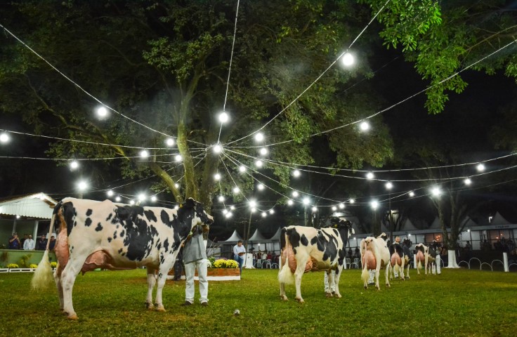 CAPAL: Confirmada a realização da 48ª Expoleite, de 13 a 16 de julho 