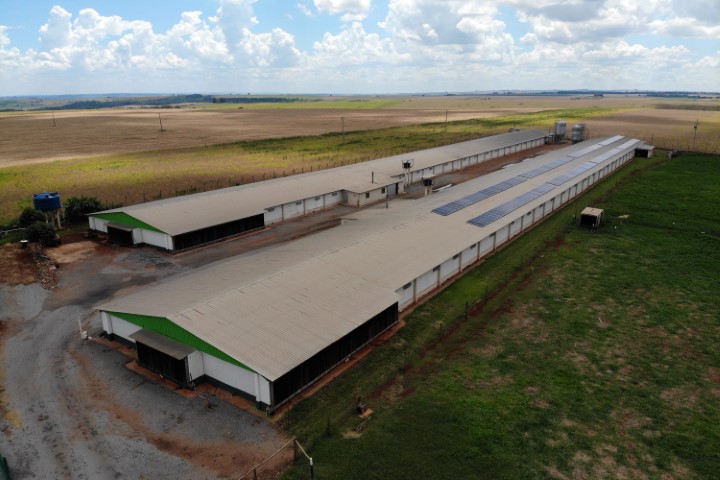 PR COMPETITIVO: Estado libera R$ 250 milhões em créditos de ICMS para expansão de energias renováveis para cooperativas do PR
