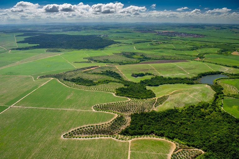 REGULARIZAGRO: Plano nacional irá agilizar a implementação do Código Florestal em imóveis rurais