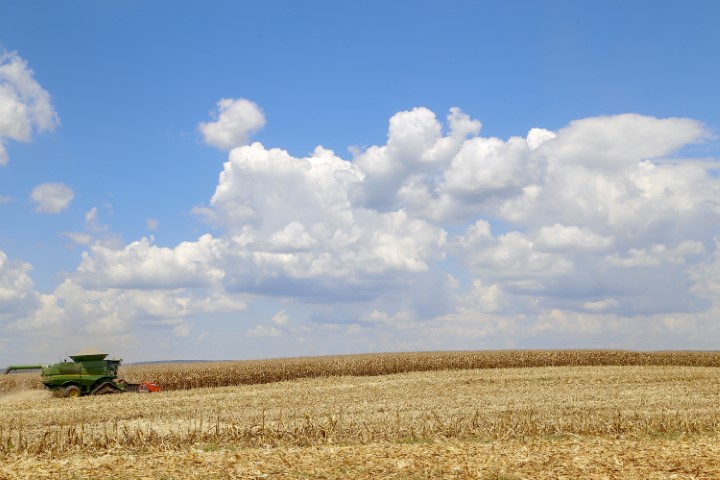 VBP: Valor da Produção Agropecuária de 2022 deve chegar a R$ 1,227 trilhão