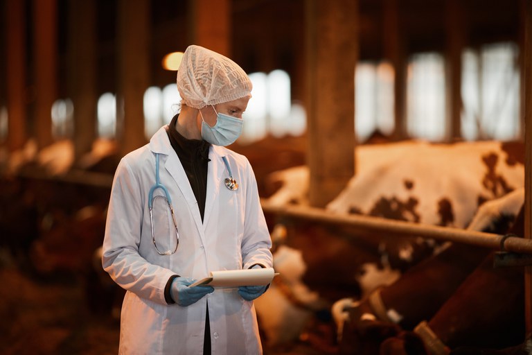 PARTICIPAÇÃO SOCIAL: Aberta consulta pública sobre produtos de uso veterinário