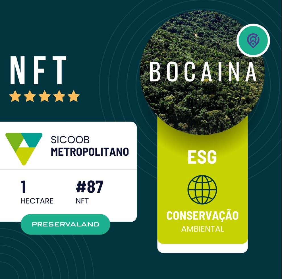 SICOOB METROPOLITANO I: Primeira instituição financeira do Brasil a adquirir NFTs de preservação ambiental