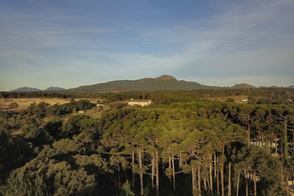 DESENVOLVIMENTO SUSTENTÁVEL: Paraná terá lei específica para integrar o Consórcio Interestadual sobre o Clima
