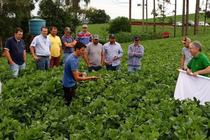 IDR-PARANÁ: Ação mapeia produtividade na colheita de soja na região de Maringá