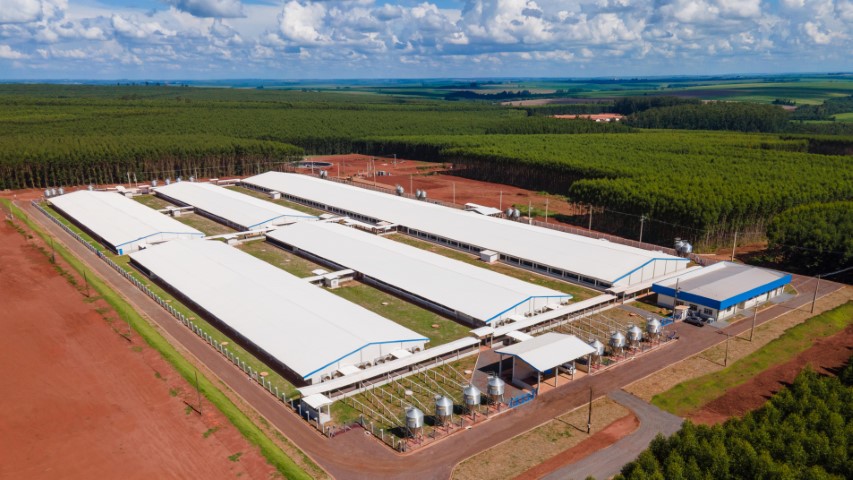 C.VALE: Inaugurada nova Unidade Produtora de Leitões Desmamados 