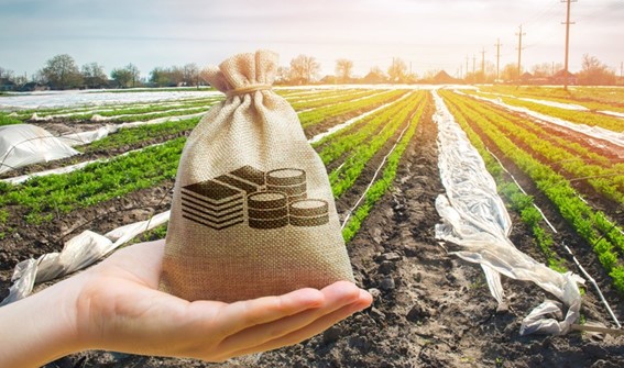 FINANCIAMENTO: Boletim mostra o crescimento das finanças privadas no setor agropecuário