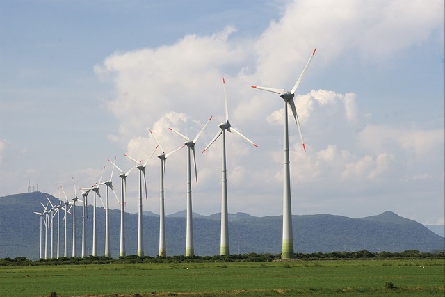 FONTES RENOVÁVEIS: Capacidade de geração de energia eólica deve bater recorde neste ano