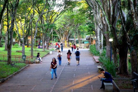 EDUCAÇÃO: Ensino superior do Paraná está entre os mais bem avaliados do Brasil