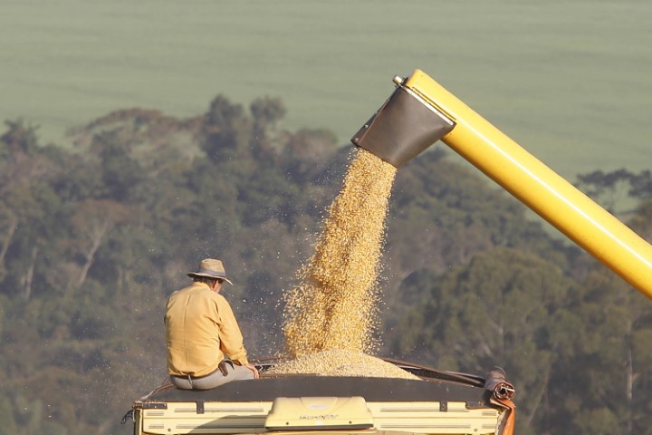 SEAB: Com soja recorde, safra de grãos 2022/23 no Paraná pode chegar a 47,12 milhões de toneladas