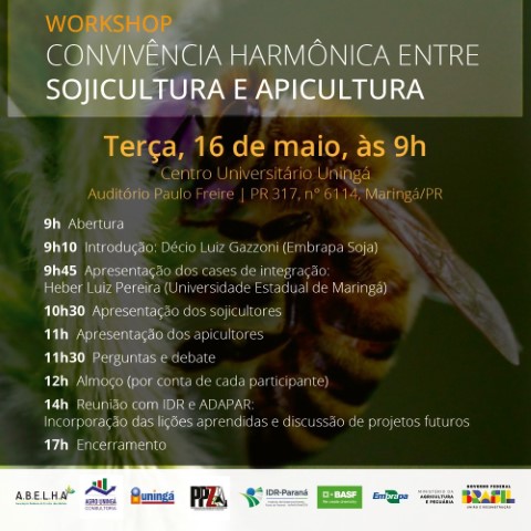 EVENTO: Convivência entre apicultura e sojicultura é tema de workshop nesta terça-feira, em Maringá 