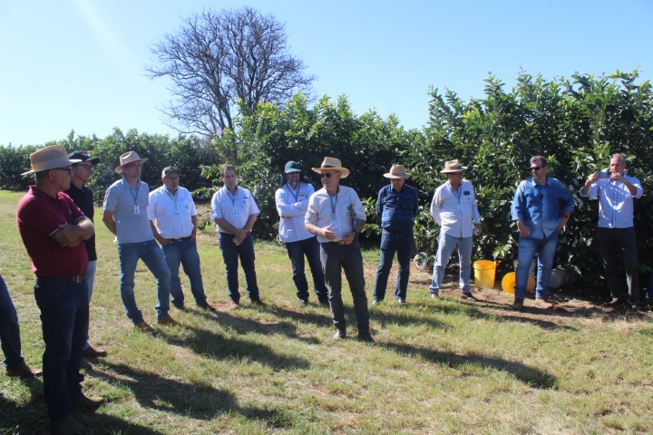 AGRICULTURA E ABASTECIMENTO: Cooperação, assistência técnica e sucessão familiar fortalecem a cafeicultura do Paraná