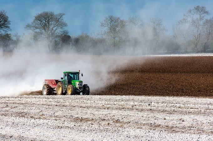 AGRO: Cocamar lança programa para conscientizar sobre uso de calcário 