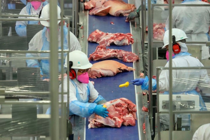 CONJUNTURA AGROPECUÁRIA: Exportações impactam preços das proteínas animais no mercado interno, mostra boletim do Deral