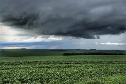 SAFRA: Previsão da Secretaria da Agricultura avalia impacto das chuvas nas lavouras