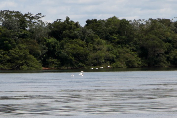 desenvolvimento sustentavel 29 11 2023