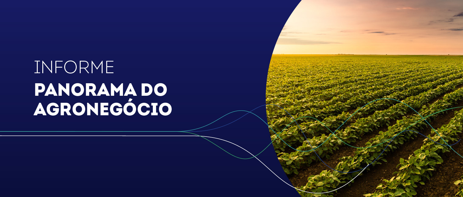 Imagem Destaque