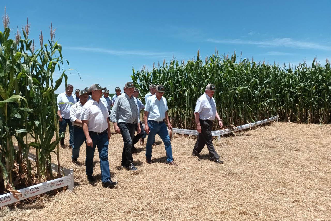 AGRO: Tradicionais eventos das cooperativas abrem calendário agrícola no Oeste do Paraná