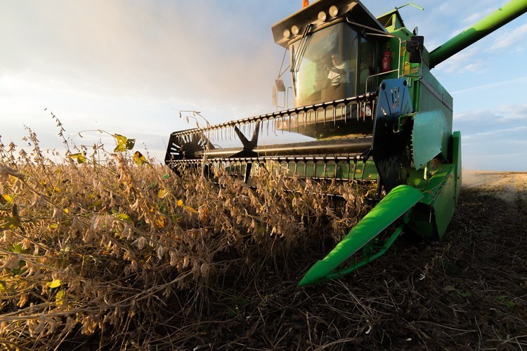 CRÉDITO RURAL: Valor contratado na safra 2023/24 ultrapassa os R$ 251 bilhões até dezembro