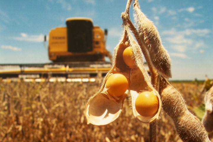 AGRO: Dessecação pré-colheita da soja é fundamental para melhores produtividades, aponta Departamento Técnico da Cocari