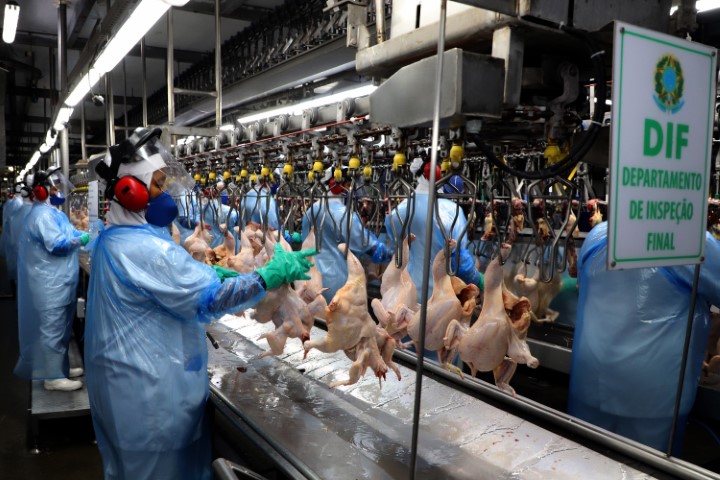 COMÉRCIO EXTERIOR: Mais seis plantas paranaenses são habilitadas para exportar frango para a China
