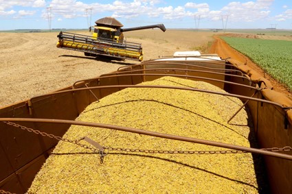 CONJUNTURA AGROPECUÁRIA: Boletim analisa safra de 18,8 milhões de toneladas de soja no Paraná e preços das carnes