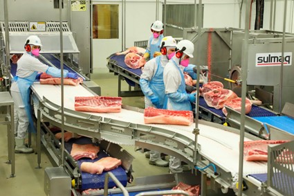 CONJUNTURA AGROPECUÁRIA: Paraná é o maior produtor de carne suína para consumo interno, aponta boletim do Deral