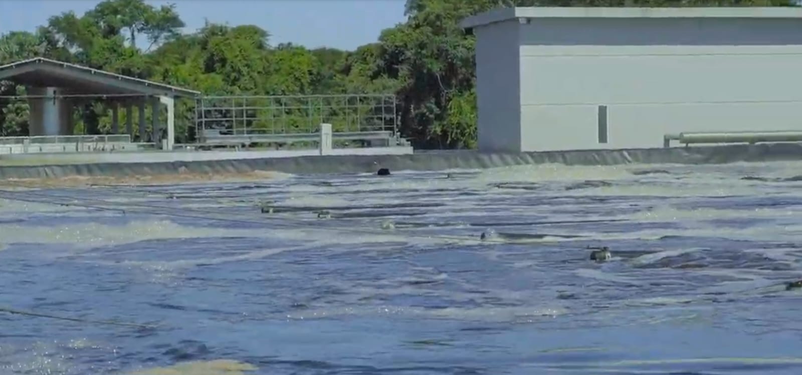 AGRO: Coopavel conquista prêmio da Cargill com estação de tratamento de efluentes