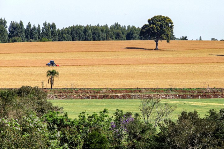 DIA NACIONAL DO SOLO: Com leis e programas, Paraná celebra pioneirismo na difusão da agricultura que cuida do solo