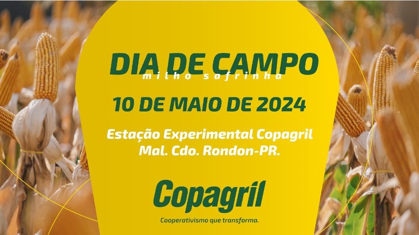 AGRO: Dia de Campo Milho Safrinha Copagril acontece dia 10 de maio