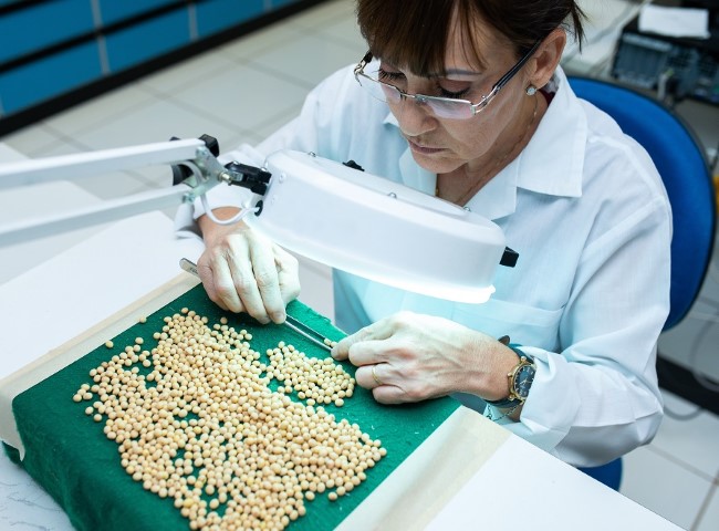 EMBRAPA: Curso sobre vigor de sementes em soja refina controle de qualidade