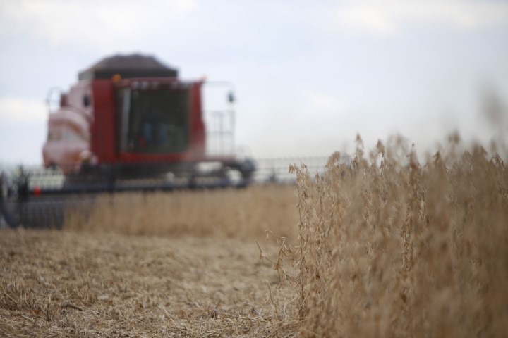 PANORAMA DO AGRONEGÓCIO: Boletim traz informações sobre a safra de grãos, previsões climáticas e crédito rural