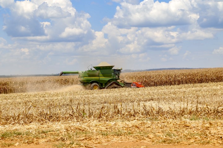 SEAB/DERAL: Colheita do milho da segunda safra paranaense alcança 42% da área