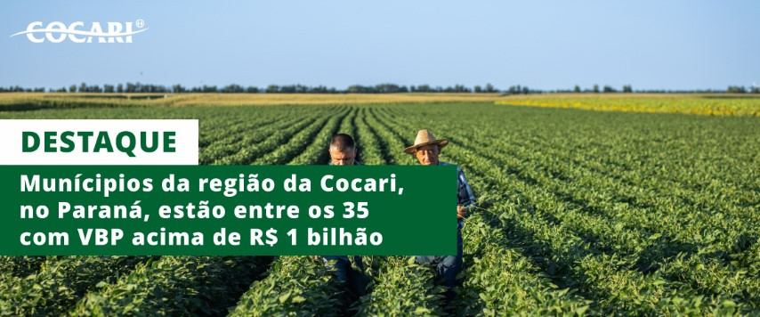 cocari 26 09 2024