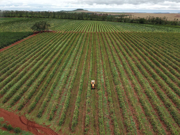 conjuntura agro 11 10 2024