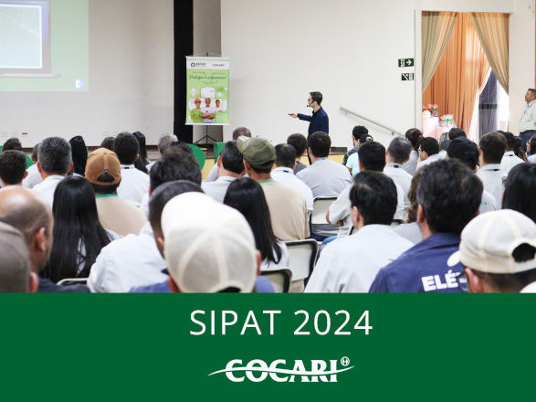 cocari II 06 11 2024