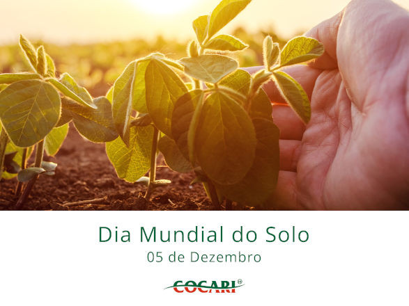 cocari II 06 12 2024