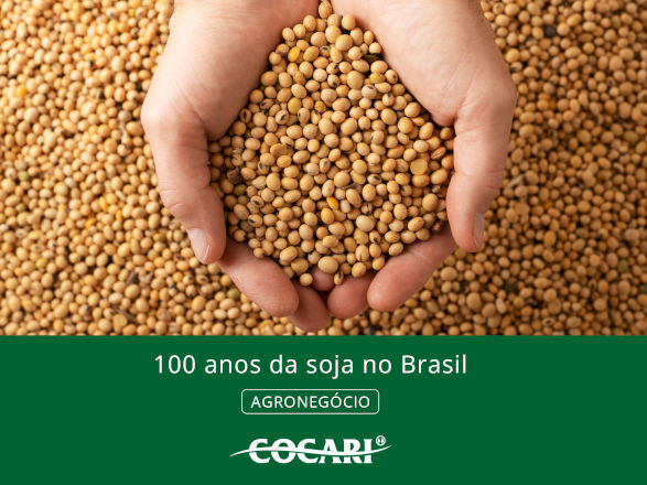 cocari II 10 12 2024