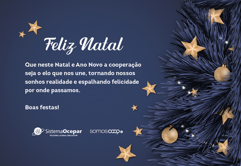 fim de ano 23 12 2024